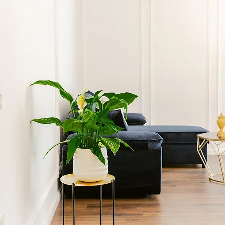 Luxury Rooftop In Astir Apartament *