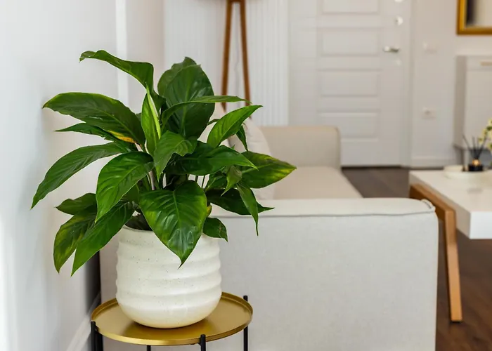 Luxury Rooftop In Astir Apartamento *