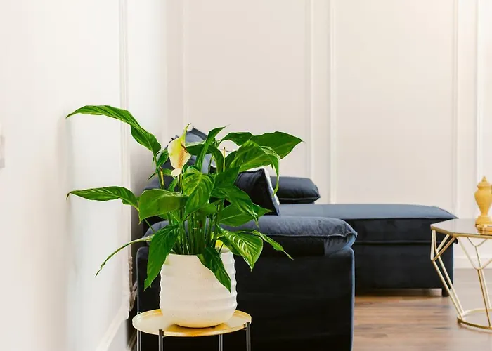 Luxury Rooftop In Astir Apartamento *